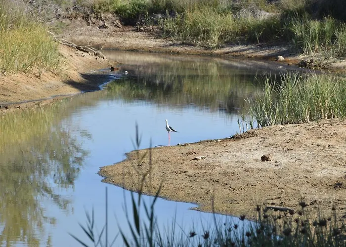 Irene's Place Marina * Картейра