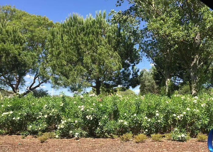 Irene's Place Marina