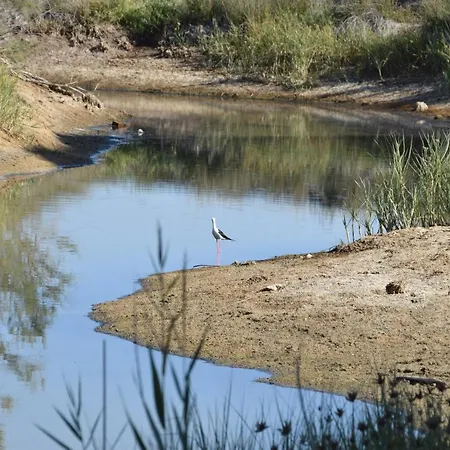 Irene's Place Marina * 奎特里拉