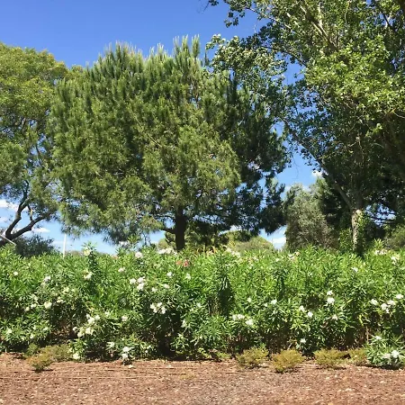 Irene's Place Marina