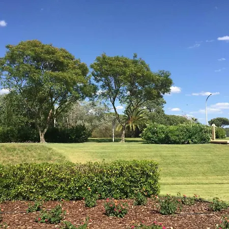 Irene's Place Marina *